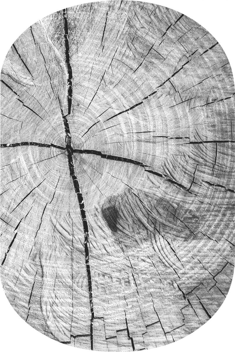 Ağaç Kütük Desenli 2'li Banyo Paspası (50x60 cm - 60x100 cm)