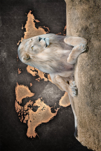 Aslan ve Harita Desenli Dijital Baskılı Halı - Thumbnail