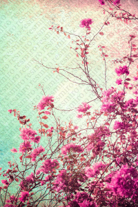 Bahar Çiçekleri Dijital Baskılı Halı - 2