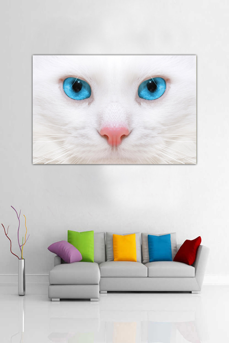 Beyaz Kedi Desenli Dijital Baskılı Kanvas Tablo