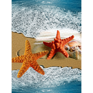 Deniz Yıldızı Desenli Dijital Baskılı Halı - Thumbnail