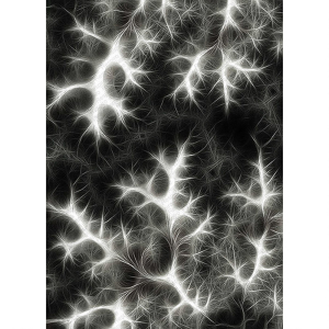 Efekt Desenli Dijital Baskılı Halı - 2