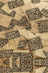 Geometrik Leopar Tahta Desenli Dijital Baskılı Halı - 2
