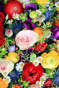 Gül Papatya Ve Sümbüller Dijital Baskılı Halı - 2