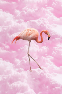 Hayal Flamingo Dijital Baskılı Halı - Thumbnail