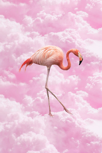 Hayal Flamingo Dijital Baskılı Halı - 2