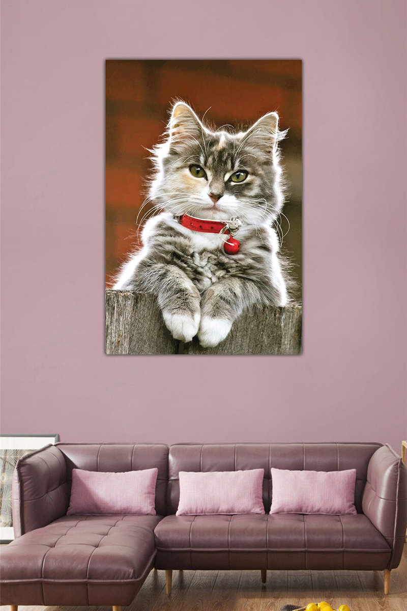 Kedi Desenli Dijital Baskılı Kanvas Tablo