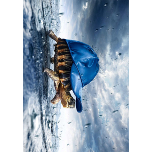 Mavi Kaplumbağa Desenli Dijital Baskılı Halı Örtüsü HRC527 - 2