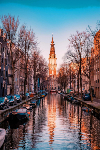 Amsterdam Tasarımlı Dijital Baskılı Halı - 2