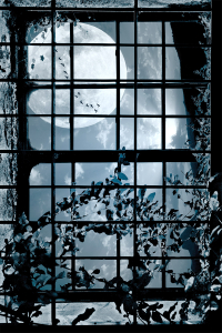 Pencerede Dolunay Desenli Dijital Baskılı Halı - Thumbnail