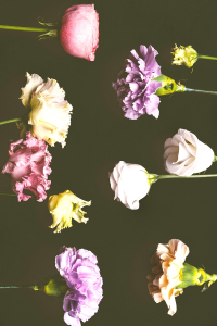 Realist Karşılıklı Çiçekler Dijital Baskılı Halı - Thumbnail