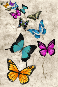 Renkli Kelebekler Dijital Baskılı Halı - Thumbnail
