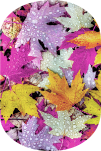 Renkli Sonbahar 2'li Desenli Banyo Paspası (50x60 cm - 60x100 cm) - Thumbnail