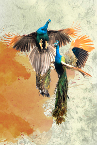 Sulu Boya Efektli Tavus Kuşu Desenli Dijital Baskılı Halı - Thumbnail