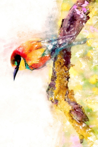 Suluboya Efektli Ağaca Konan Kuş Dijital Baskılı Halı - Thumbnail