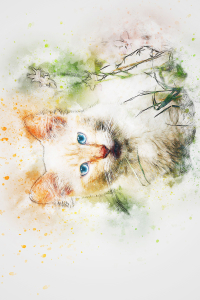 Suluboya Efektli Etkileyici Bakışlar Kedi Dijital Baskılı Halı - Thumbnail