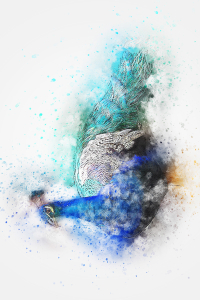 Suluboya Efektli Mavi Tavus Kuşu Dijital Baskılı Halı - Thumbnail