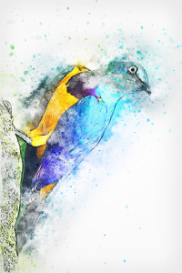 Suluboya Efektli Özgür Kuş Dijital Baskılı Halı - Thumbnail