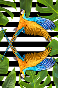 Tropical Papağanlar Dijital Baskılı Halı - 2