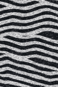 Zebra Dokuları Dijital Baskılı Halı - Thumbnail