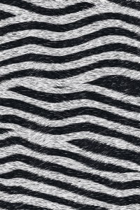 Zebra Dokuları Dijital Baskılı Halı - 2