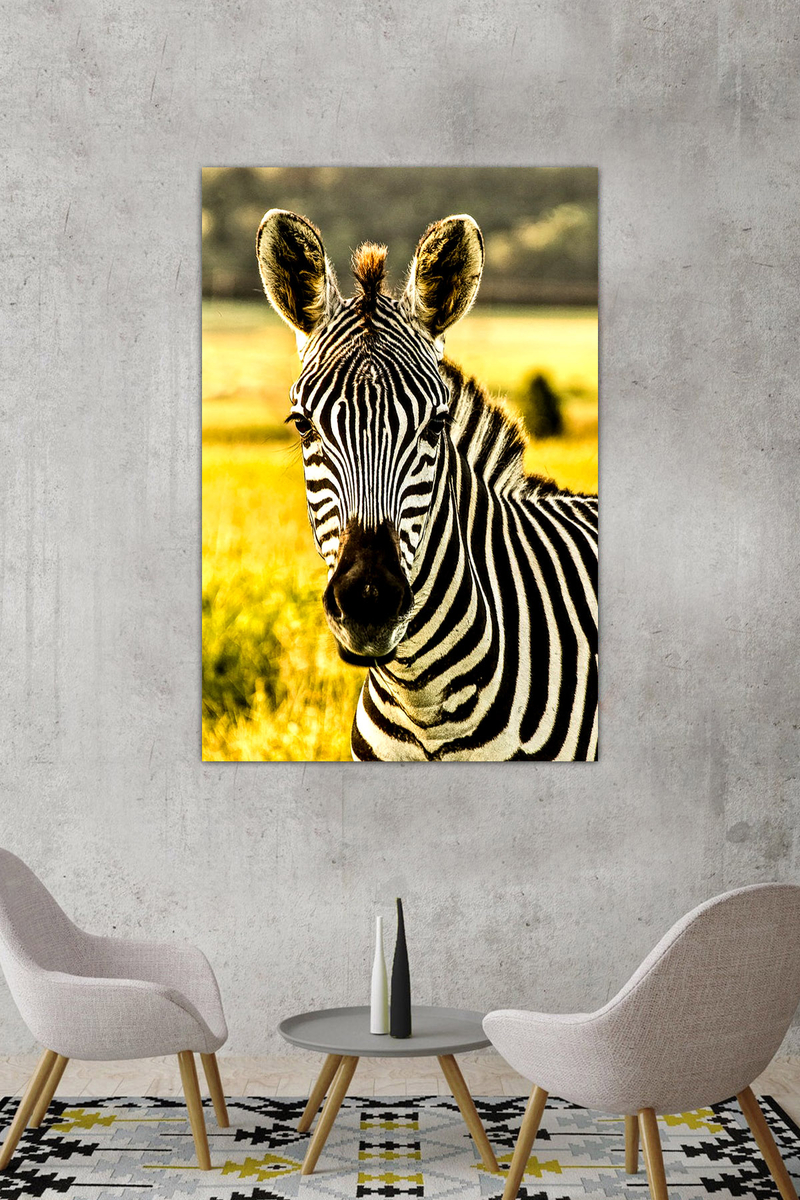 Zebra Portre Desenli Dijital Baskılı Kanvas Tablo