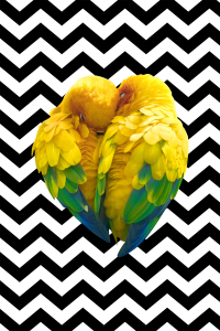 Zikzak Zemin Sarı Kuşlar Dijital Baskılı Halı - Thumbnail